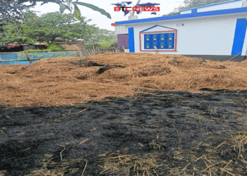 আদমদীঘিতে ঘড়ের পালায় অগ্নিকান্ড লক্ষাধিক টাকার ক্ষতি