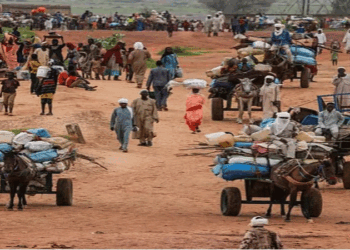 বিদায় ২০২৫, সুদান সংকটের শুরু কীভাবে, সোনা-জ্বালানি–খনিজসমৃদ্ধ দেশটি কি আবার দুভাগ হবে