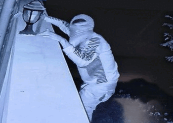 রাজশাহীতে ইস্পাহানি চা অফিসে নিরাপত্তাকর্মী বেঁধে দুই লাখ টাকার বেশি লুট