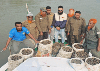 শ্যামনগরে সুন্দরবন থেকে ১ হাজার ৬০০ কেজি শামুক-ঝিনুক উদ্ধার