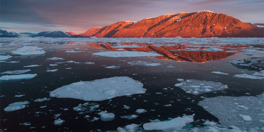 ট্রাম্পের গ্রিনল্যান্ড অভিযান, ইউরোপীয় মিত্রদের ‘গালে চড়’ : দ্য গার্ডিয়ানের বিশ্লেষণ