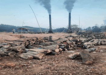 নাকের ডগায় ৩০০ অবৈধ ইটভাটা, জরিমানায় দায় সারছে প্রশাসন