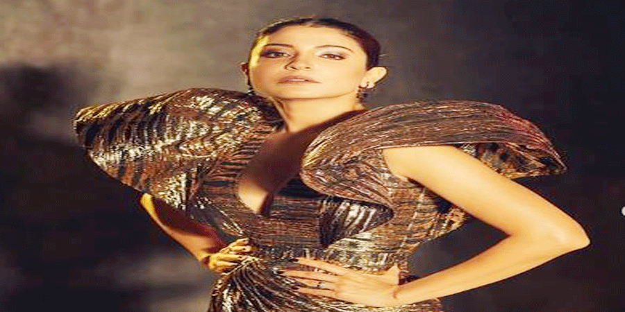 অভিনয় ছাড়ছেন আনুশকা শর্মা!