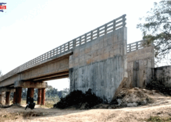 ‘সেতুর মূল কাঠামো দাঁড়িয়ে থাকলেও, নেই সংযোগ সড়ক’