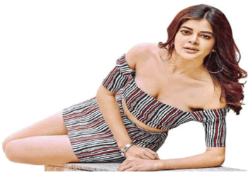 ফের বিয়ে করলেন পর্দার ‘পাখি’