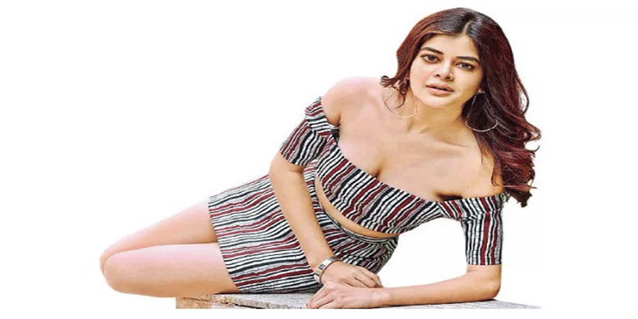 ফের বিয়ে করলেন পর্দার ‘পাখি’