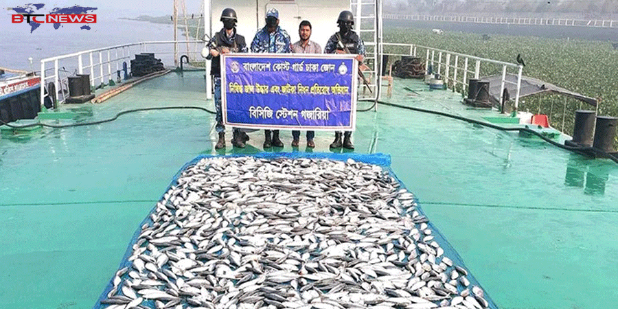 গজারিয়ায় ১৩ লাখ টাকার অবৈধ জাটকা জব্দ