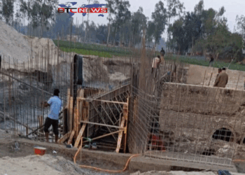 ডালিয়া ডিভিশনের আওতায় ২৪-২৫ অর্থবছরের বিভিন্ন প্রকল্পের কাজ চলমান