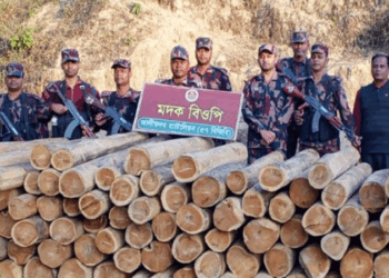 অবৈধ কাঠ মজুদকারীদের বিরুদ্ধে থানচি রেঞ্জের অভিযান : ৫ লক্ষ টাকার কাঠ উদ্ধার