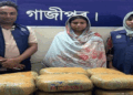 গাজীপুরে রান্নাঘরের মেঝের নিচে মিললো ২০ কেজি গাঁজা, গৃহবধূ আটক