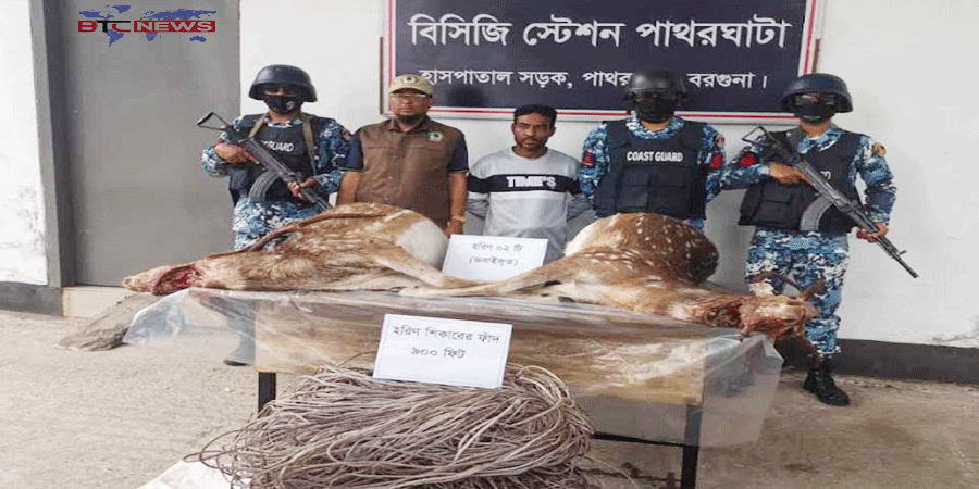 পাথরঘাটায় বন্যপ্রাণী শিকার করায় স্বামীকে তালাক দিলেন স্ত্রী