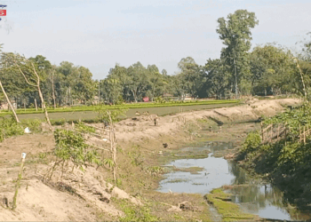 কাজ না করেই বিল তোলার চেষ্টা চেয়ারম্যানের