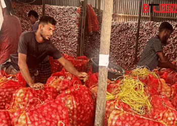 ১ মণ পেঁয়াজ বিক্রি করে মিলছে ১ কেজি গরুর মাংস