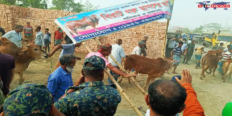 অবৈধভাবে বসানো গরুর হাটে উচ্ছেদ অভিযান