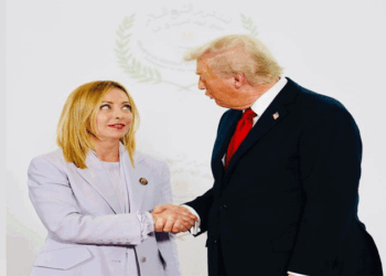 ভেবেছিলাম মেলোনির সাহস আছে, কিন্তু আমি ভুল ছিলাম