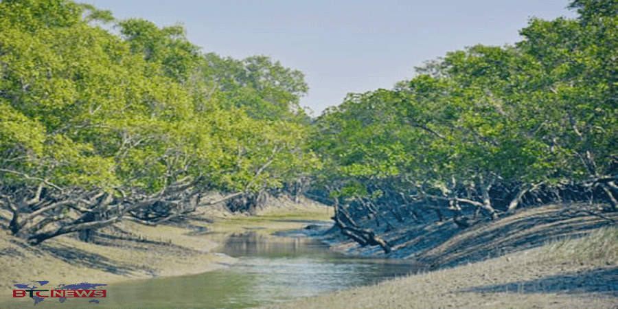 সুন্দরবনের দুয়ারে কয়রা: সম্ভাবনায় ভরপুর, তবুও পর্যটনে পিছিয়ে