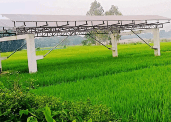সৌরবিদ্যুতের মাধ্যমে সেচ এক মৌসুমে সাশ্রয় ৭৫ লাখ লিটার ডিজেল, কৃষকের মুখে হাসি